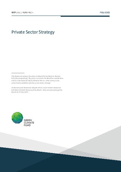 Download Private Sector Strategy Document cover for Private Sector Strategy